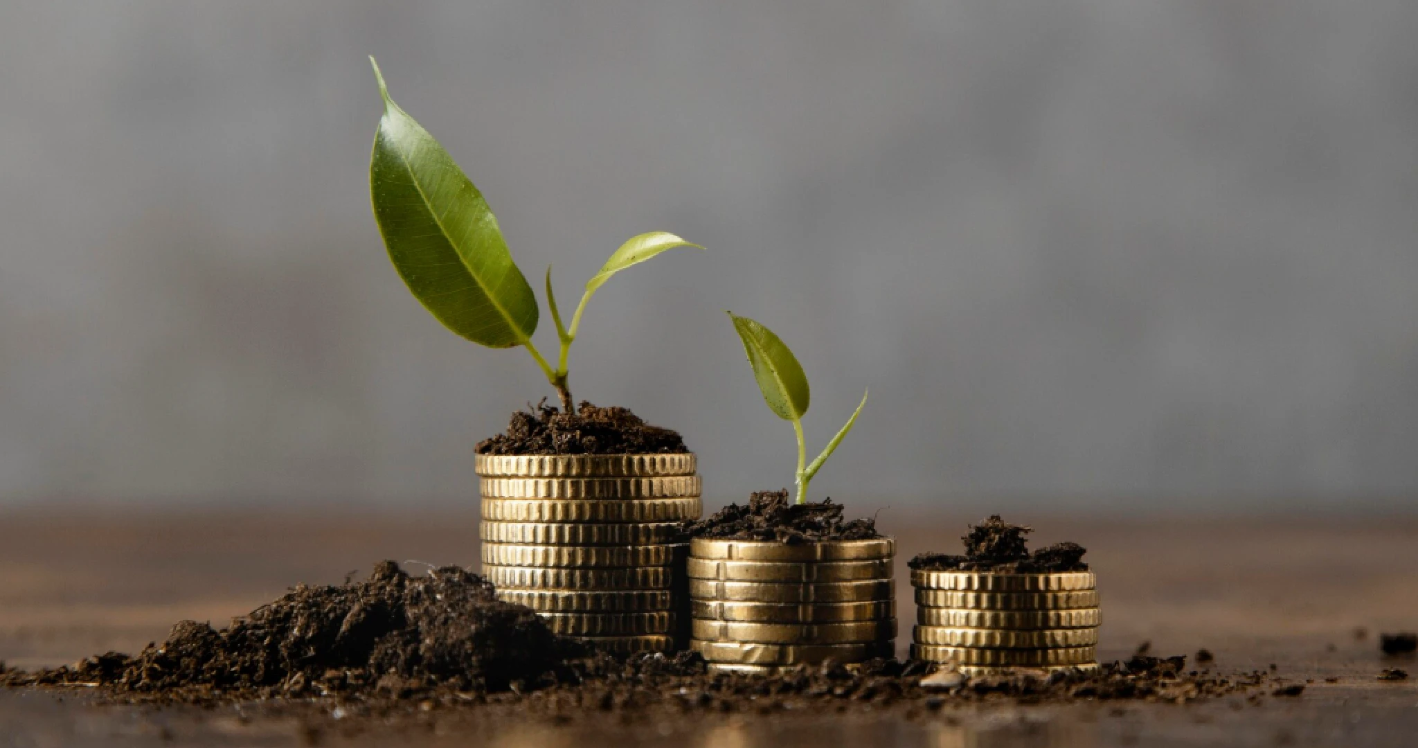 Global Finance