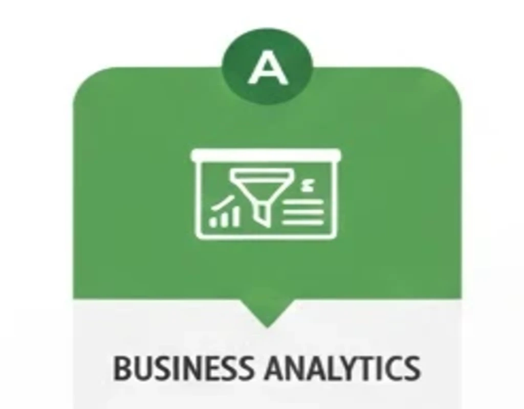Business Analytics